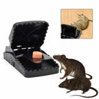 Rat Traps