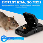 Rat Traps