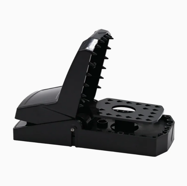 Rat Traps