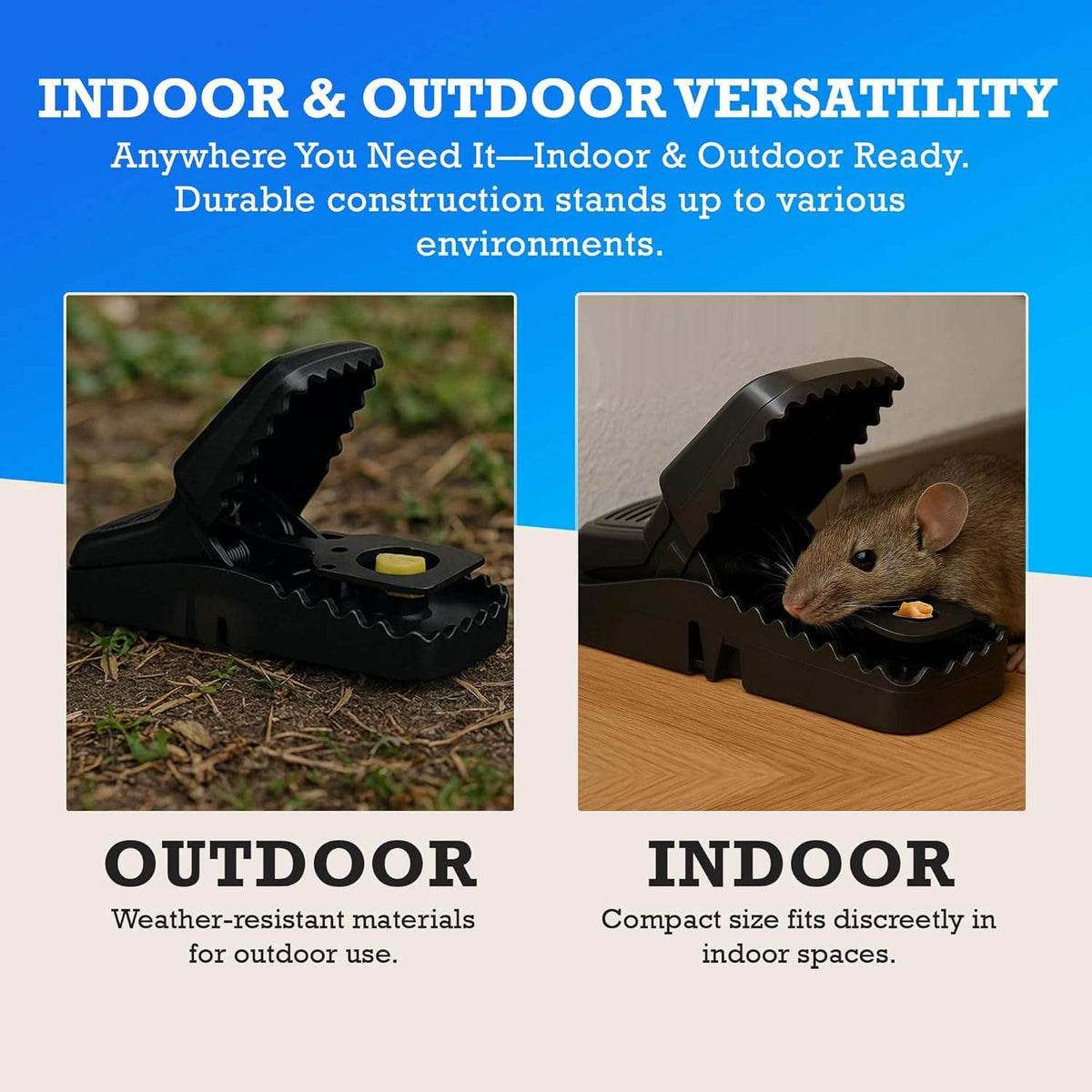 Rat Traps